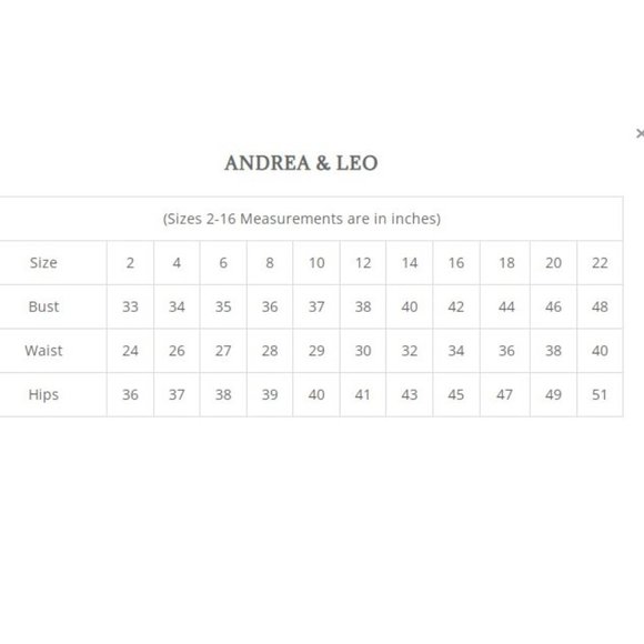 NEW LONG OFF THE SHOULDER SLEEVELESS TULLE BALL GOWN WITH LACE UP BACK AL A1152 - Picture 3 of 9